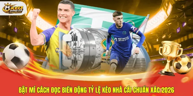 cách đọc biến động tỷ lệ kèo nhà cái