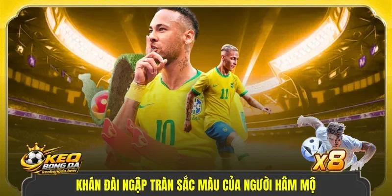 Khán đài ngập tràn sắc màu của người hâm mộ
