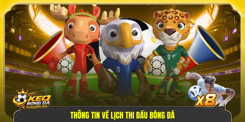 Thông tin về lịch thi đấu bóng đá
